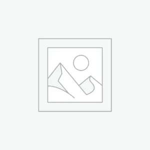 Uncategorized